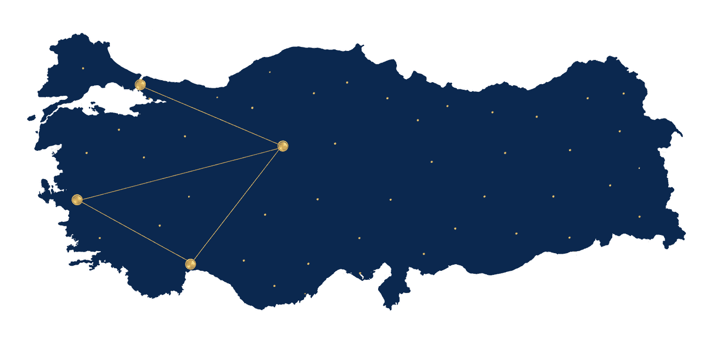 Mappa stilizzata della Turchia con quattro città evidenziate: turismo medico in Turchia